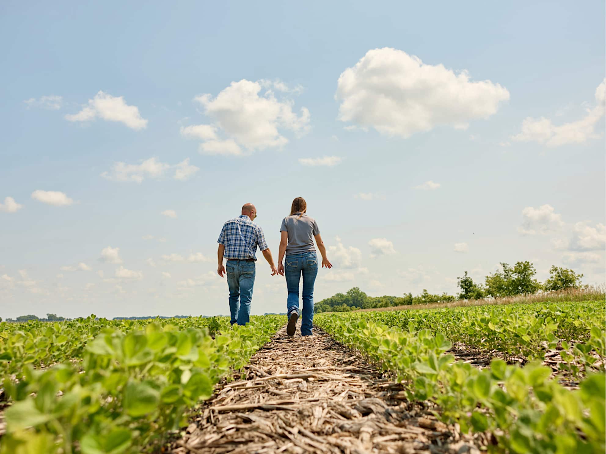 Farmer and advisor walking through a field of crops